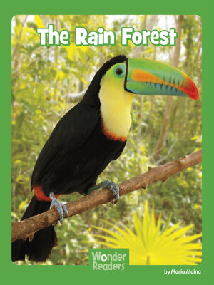 cover image of The Rain Forest